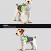 Y-Front Vest Dog Harness with Leash