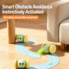 Rechargeable Interactive Cat Toy with Mouse and Car Designs