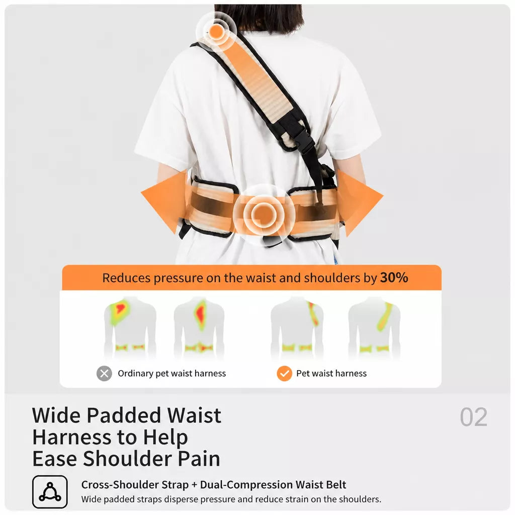 Small Dog & Cat Waist Carrier