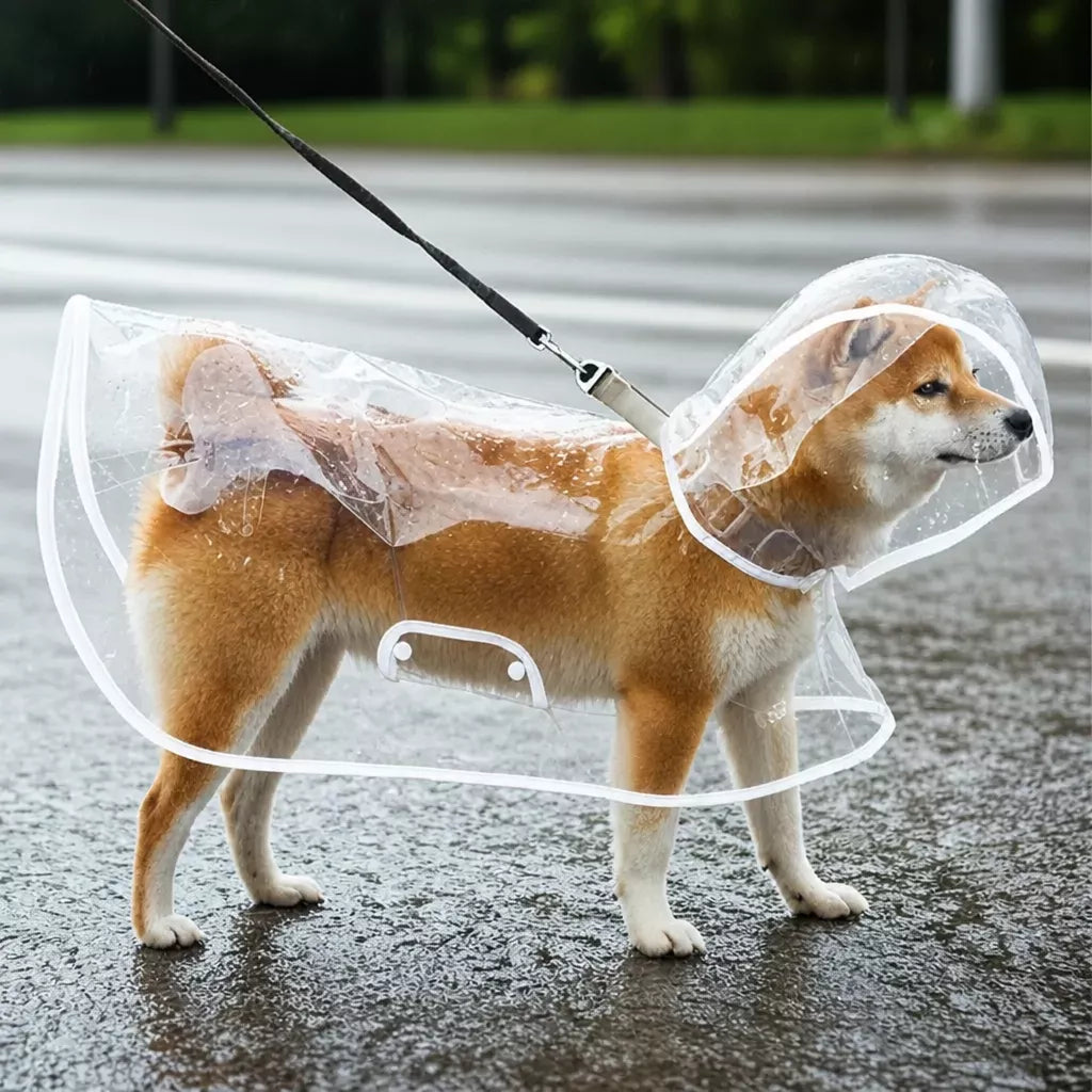 EVA Rain Poncho for Dogs