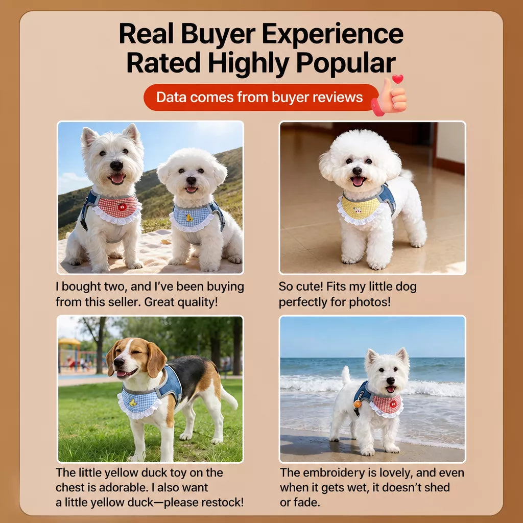 Nylon Vest-Style Dog Harness for Small to Medium Dogs