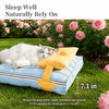 Washable Pet Bed for Cats and Small to Medium Dogs