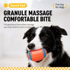 Vinyl Squeaky Dog Ball Toys for Small and Medium Dogs