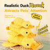 Plush Squeaky Animal Toy for Dogs and Cats