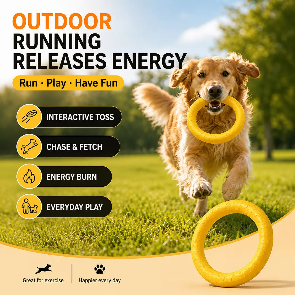Silicone Dog Ring Toy for Fetch and Tug Play
