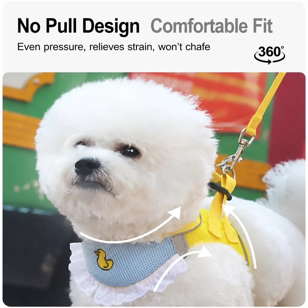 Nylon Dog & Cat Harness and Leash for Everyday Walks