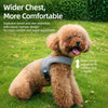 Small Dog Harness and Leash Set