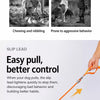 All-in-One Dog Collar and Leash