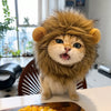 Pet Costume Hats for Cats and Dogs