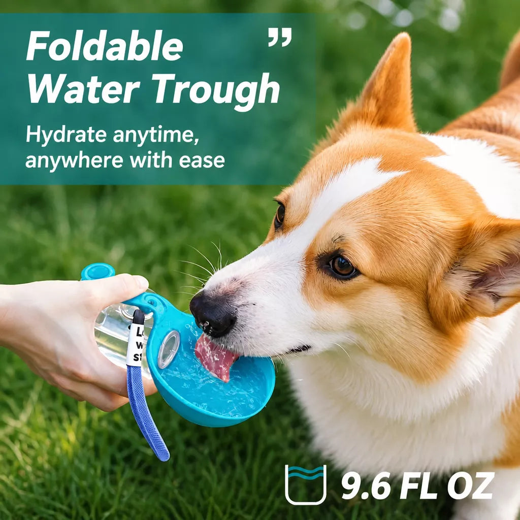 Portable Foldable Dog Water Bottle for Walks and Travel