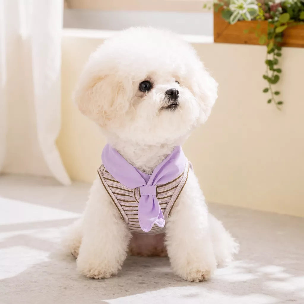 Striped Polo-Style Harness Vest for Small Dogs