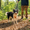 Vest-Style Dog Harness with Retractable Leash