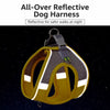 Nylon Dog Harness and Leash for Small Dogs
