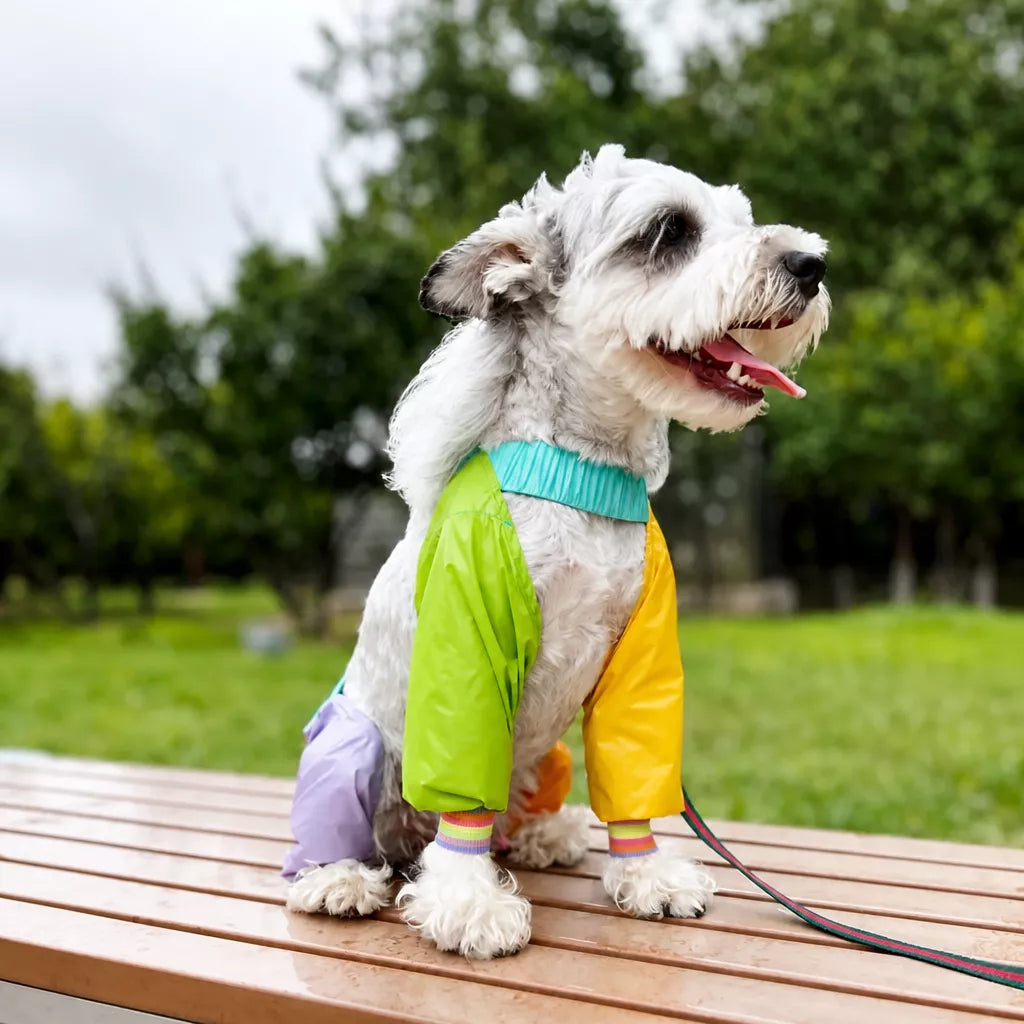 Four-Leg Dog Jumpsuit for Outdoor Wear