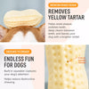 Peanut-Shaped Squeaky Dog Toy