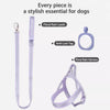 Dog Harness for Everyday Walks