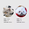 Nylon Mesh Pet Carrier Backpack for Cats and Small Dogs