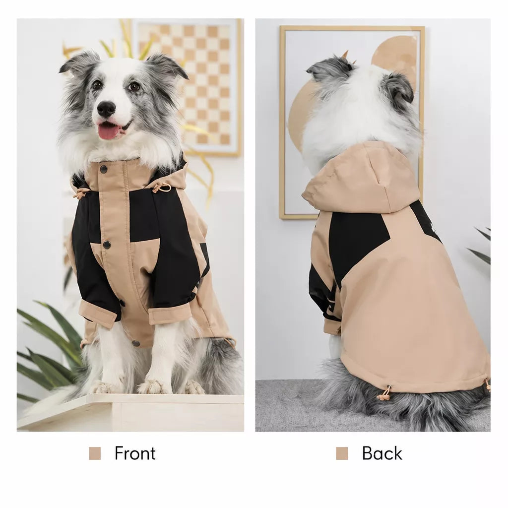 Dog Rain Jacket – Wind- and Water-Resistant Outdoor Coat