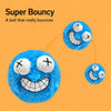 Plush Squeaky Ball Toy for Dogs