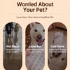 Portable Elevated Mesh Pet Cot Bed