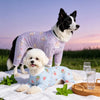 Breathable Mesh Four-Leg Dog Jumpsuit