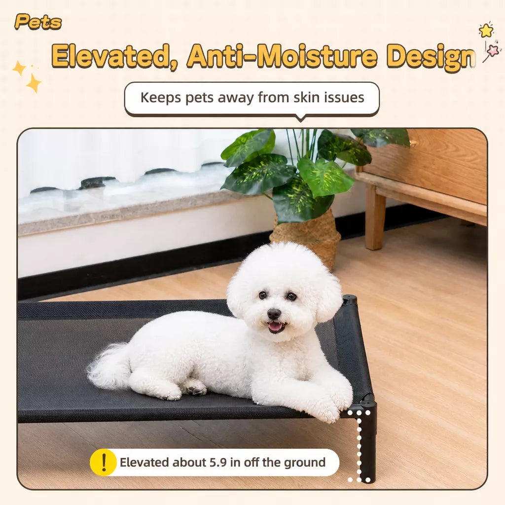 Elevated Dog & Cat Bed with Removable, Washable Pad