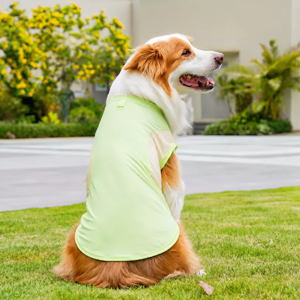 Lightweight Four-Leg Pet Shirt for Dogs & Cats