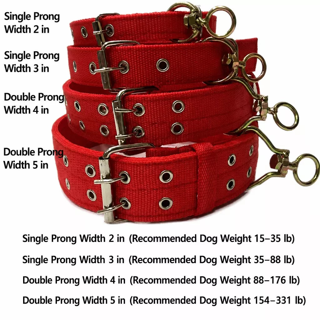 Nylon Dog Collar for Small to Large Dogs