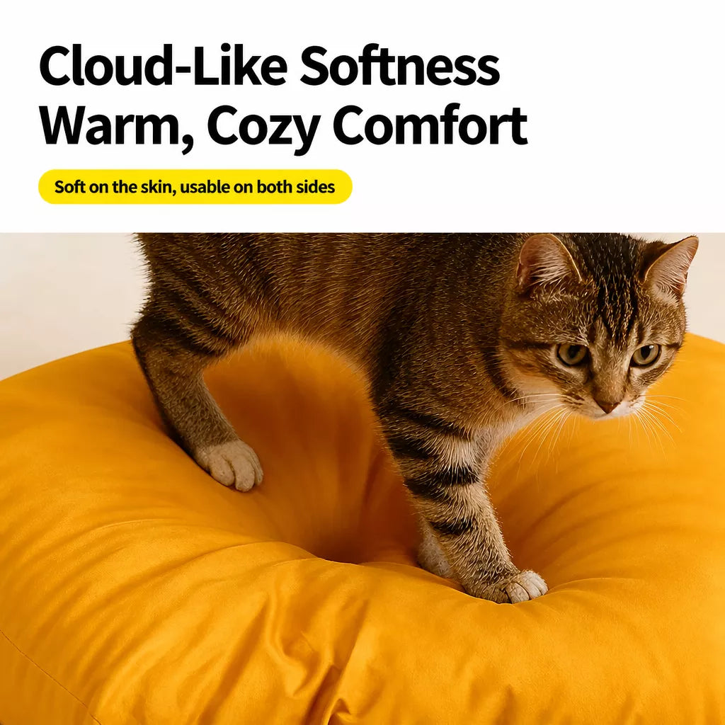 Year-Round Convertible Tent Bed for Cats and Small Dogs