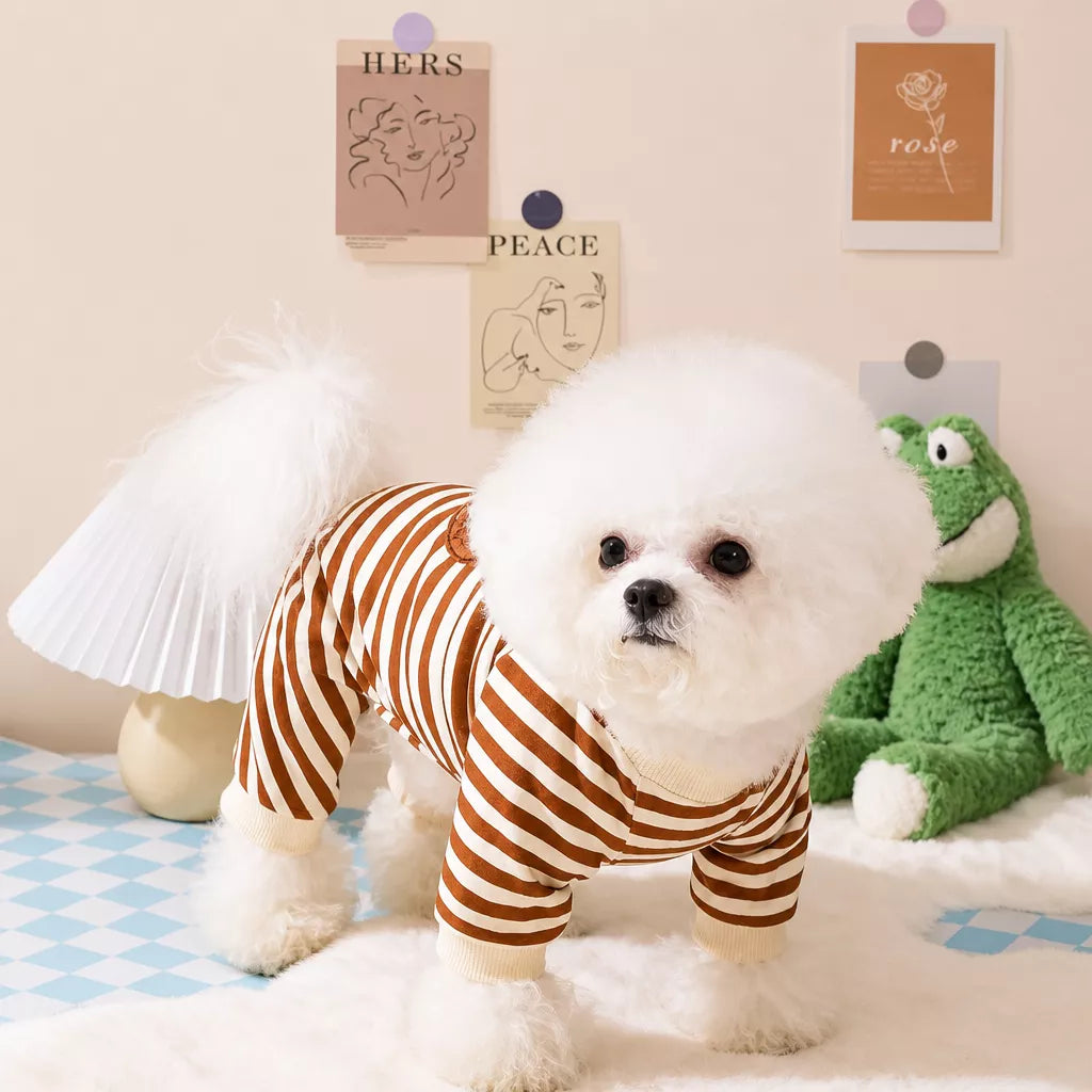Teddy Bear Four-Leg Pet Outfit for Small Dogs & Cats