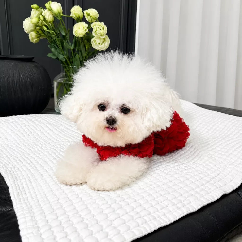 Pet Summer Dress with Suspender-Style Straps