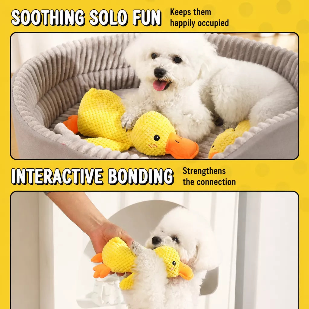 Plush Squeaky Dog Toys