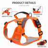 Nylon Dog Walking Harness