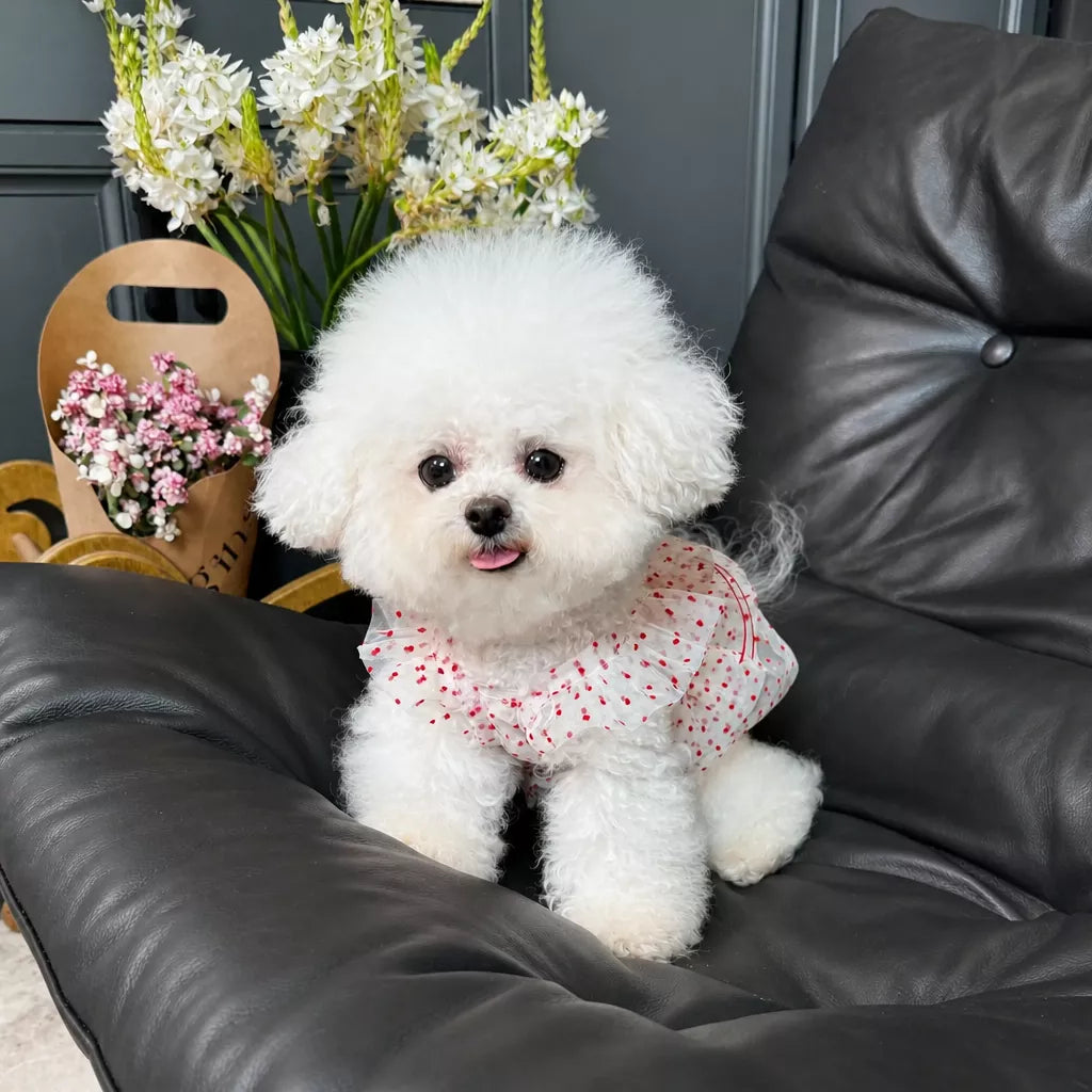 Red Polka-Dot Pet Dress with Leash Ring for Dogs and Cats