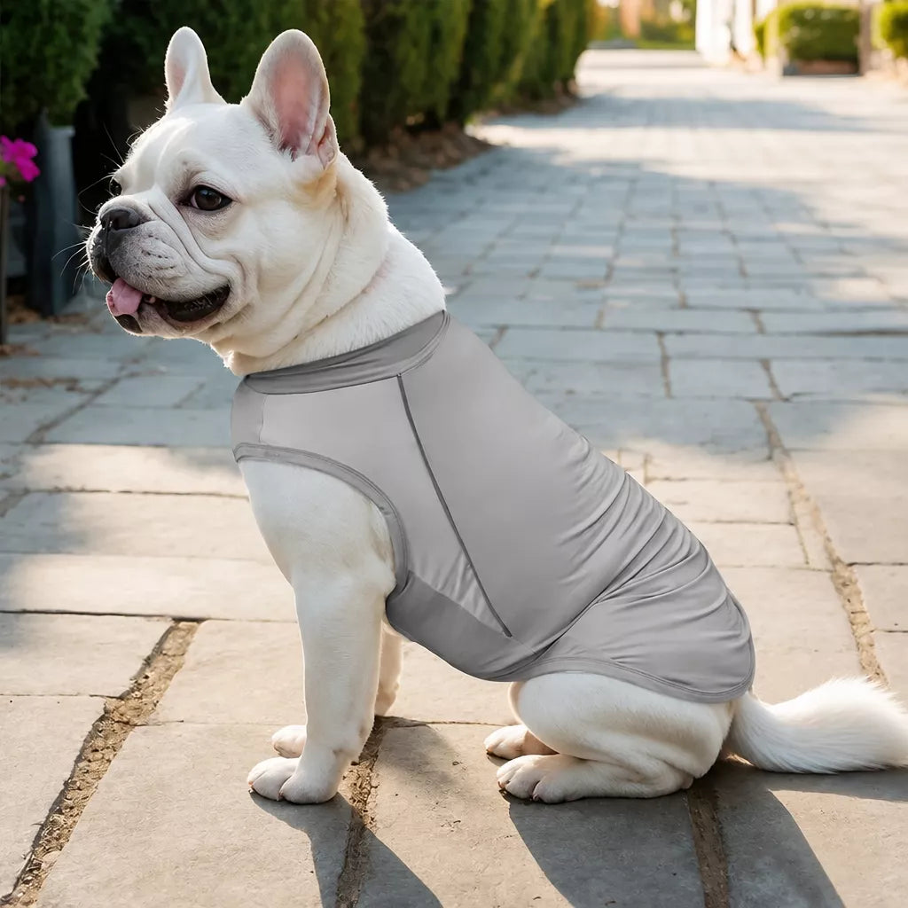 Summer Dog Clothing for Outdoor Wear