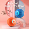Interactive Squeaky Jumping Ball Dog Toy