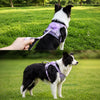 Pet Harness Vest with Leash