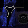 Reflective Cat Harness and Leash Set with Nylon Rope