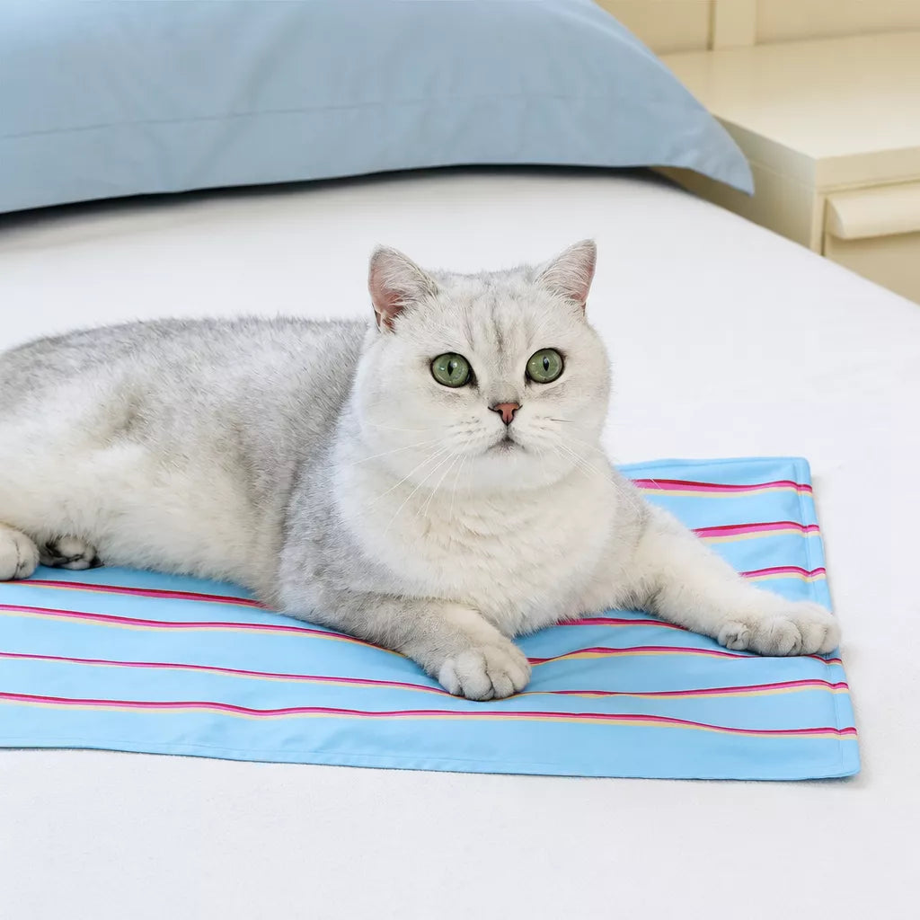 Striped Pet Mat for Dogs and Cats