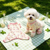 Lightweight Four-Leg Dog Shirt