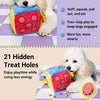 21-Hole Treat-Hiding Dice Toy for Dogs