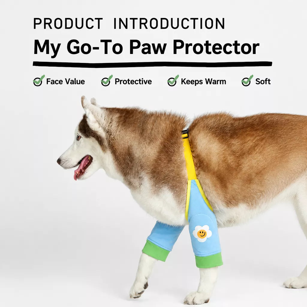 Dog Leg Cover for Year-Round Everyday Wear