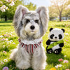Lightweight Cotton Dog Graphic Pet Shirt for Cats & Dogs