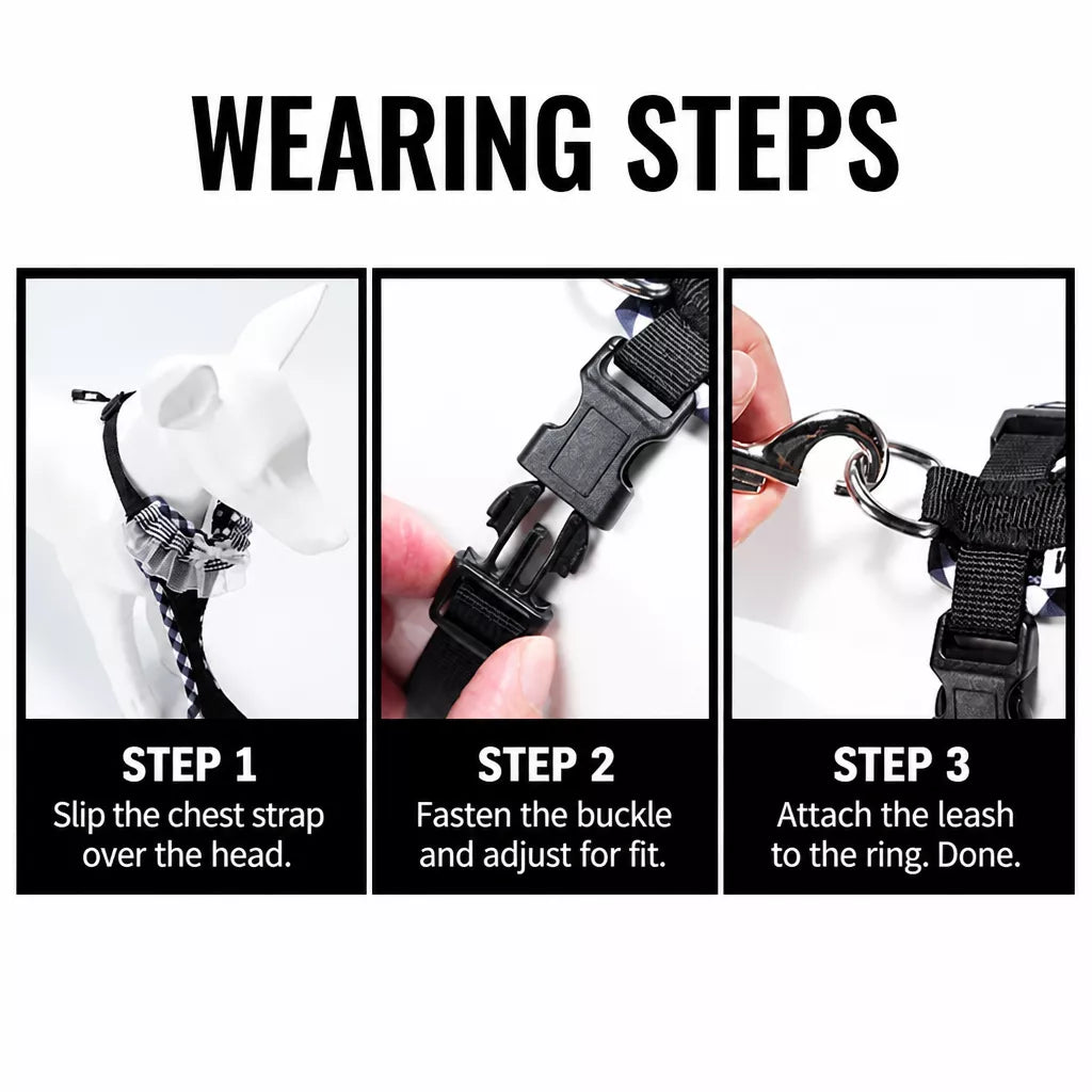 Dog Harness with 6.6-Ft Leash