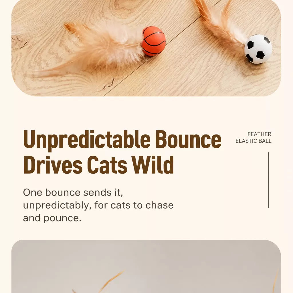 Cat Ball Toy with Feather Details