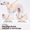 All-in-One Dog Collar and Leash
