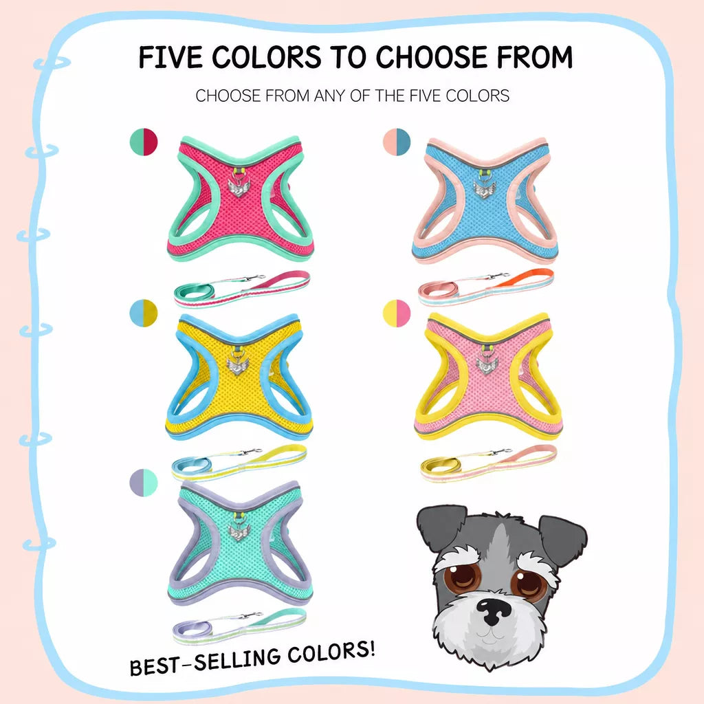 Adjustable Dog Harness with 4.6-ft Leash for Small Dogs