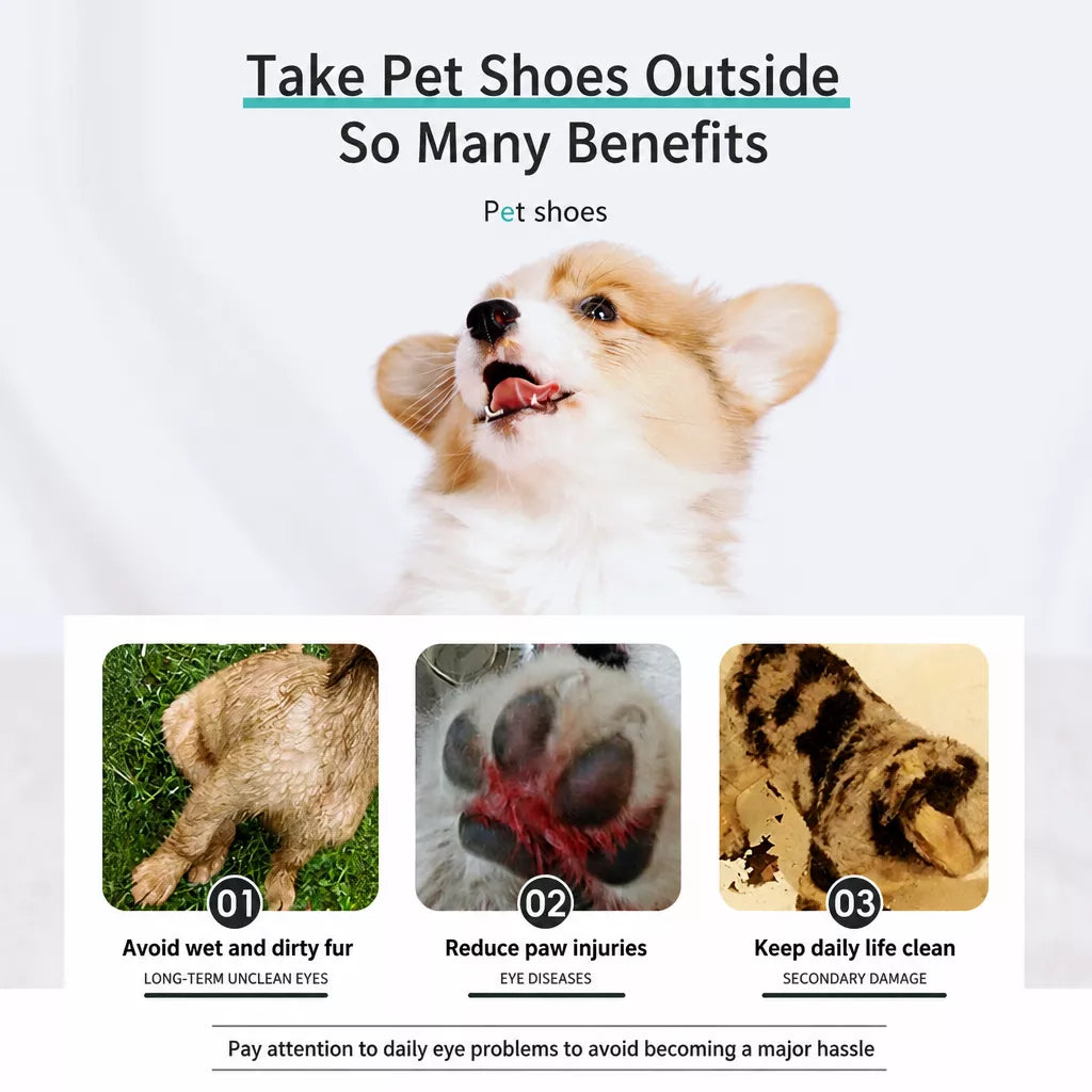 Disposable Dog Paw Covers for Outdoor Walks