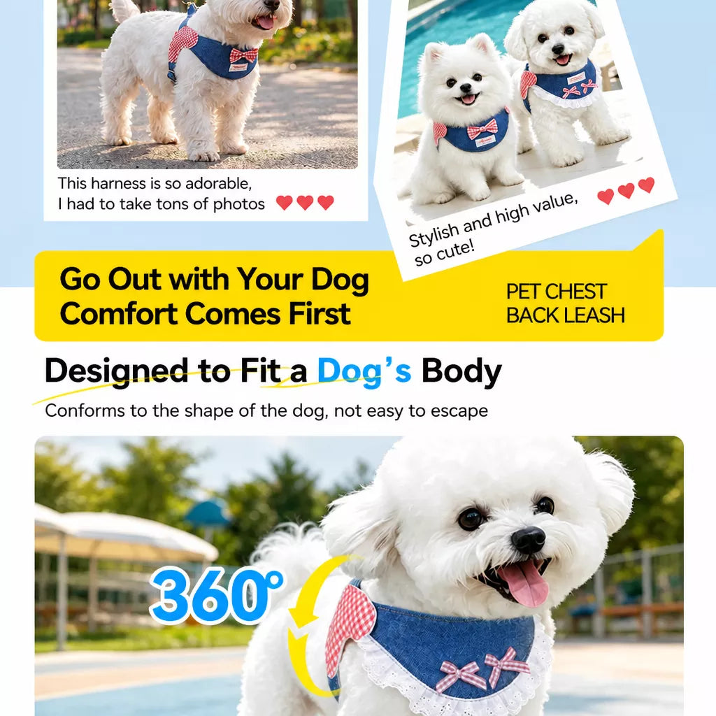Dog Harness and Leash Set for Small to Medium Dogs
