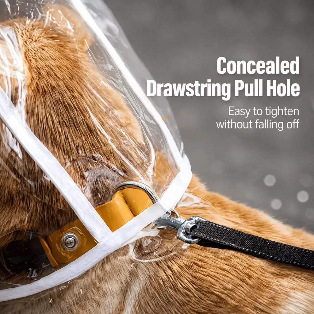 Transparent Hooded Raincoat for Dogs